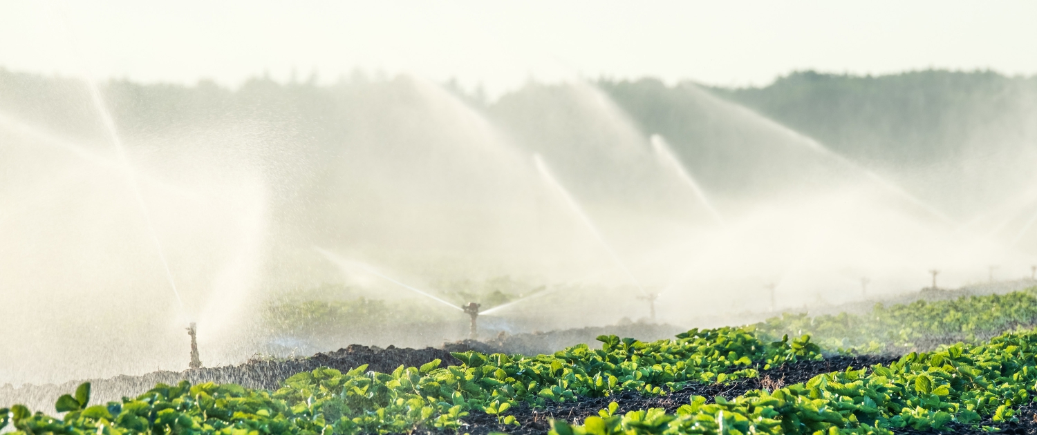 Wireless Irrigation Systems Give A Winning Edge To Growers