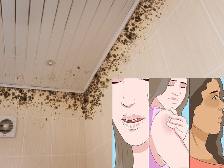 dangerous effects of damp and mould