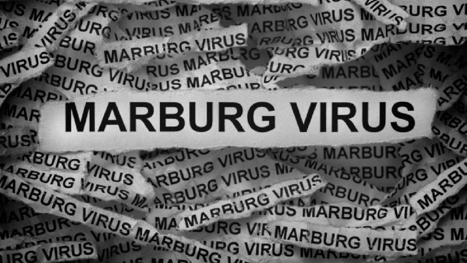 WHO confirms Marburg disease outbreak: Symptoms to know